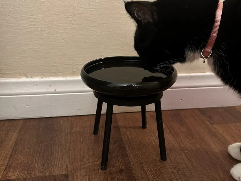 Bát ăn cho mèo với giá đỡ tiện lợi - Image 1