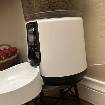 Bát ăn cho mèo với giá đỡ tiện lợi