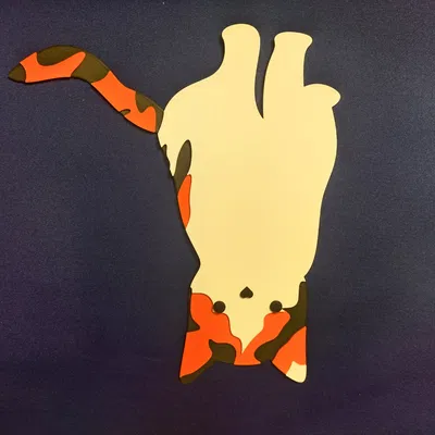 Mô hình trang trí mèo nhiều màu sắc cho Qube 500