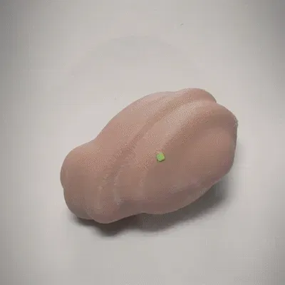 Sinh vật rùa cua Ahsoka trong series Star Wars in sẵn