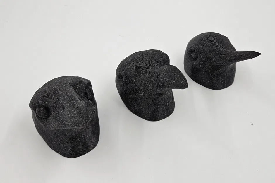 Bộ sưu tập đầu chim với các mỏ khác nhau cho người khiếm t... - Image 3