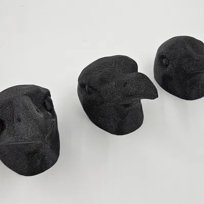 Bộ sưu tập đầu chim với các mỏ khác nhau cho người khiếm t...