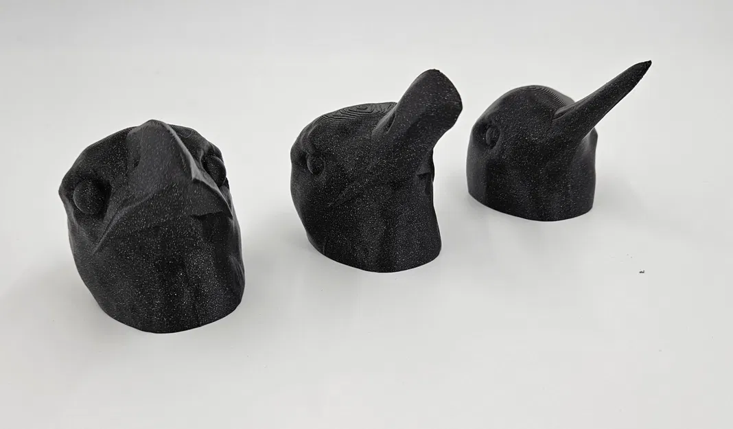 Bộ sưu tập đầu chim với các mỏ khác nhau cho người khiếm t... - Image 5