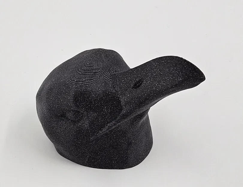 Bộ sưu tập đầu chim với các mỏ khác nhau cho người khiếm t... - Image 7