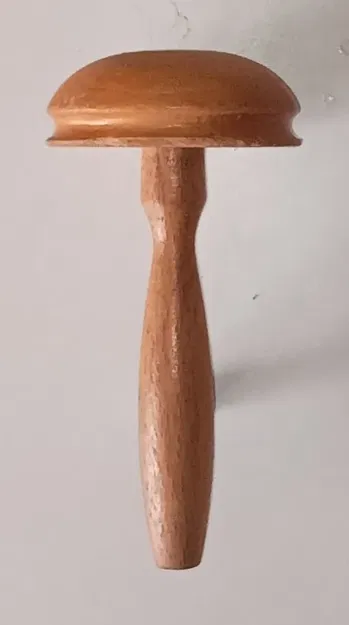 Nấm trên chân đế cao - Image 1