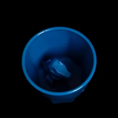 Totodile ẩn mình trong cốc Octaglass