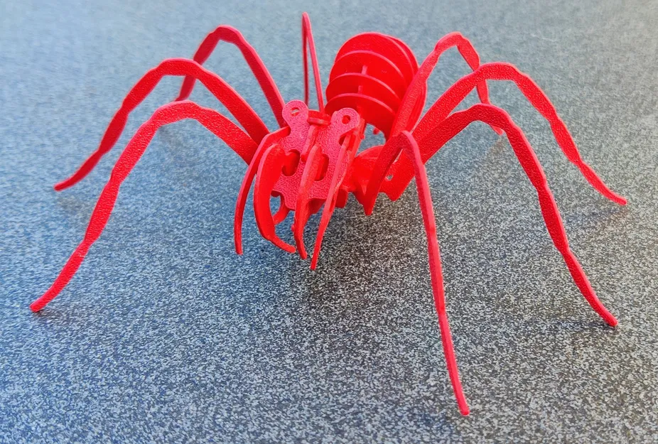 Câu đố SPIDER cho trẻ em - Image 2