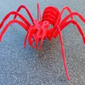 Câu đố SPIDER cho trẻ em - Thumbnail 2