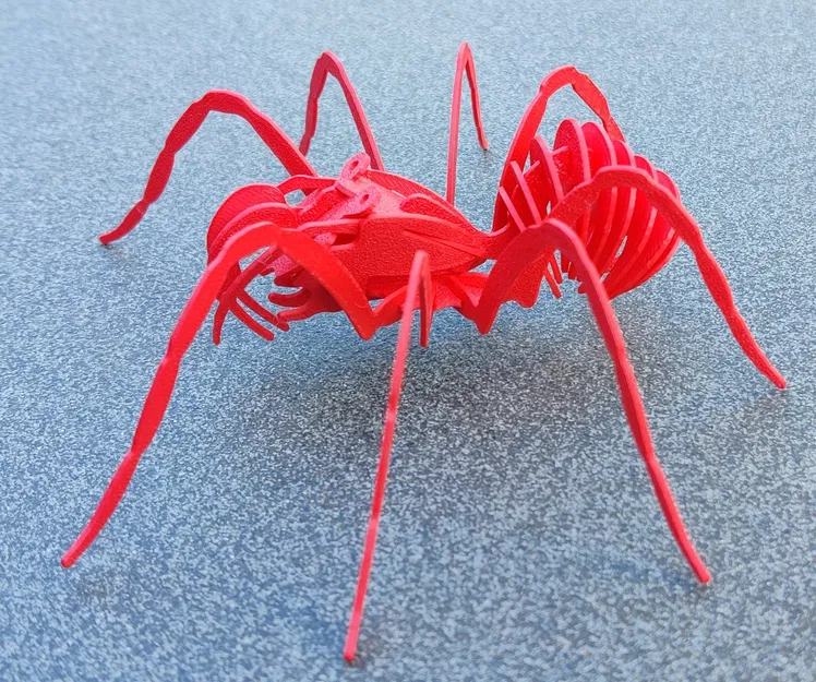Câu đố SPIDER cho trẻ em - Image 3