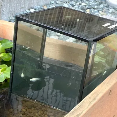 Chân đỡ cho bể cá nổi trong mô hình nước nông