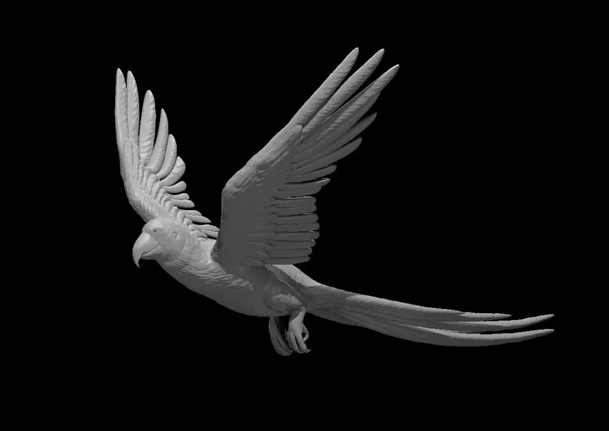 Vẹt phù thủy đáng yêu cho trò chơi tabletop - Image 1