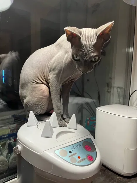Giá đỡ chống mèo sphynx ngồi lên bình giữ nhiệt - Image 1