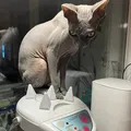 Giá đỡ chống mèo sphynx ngồi lên bình giữ nhiệt - Thumbnail 1