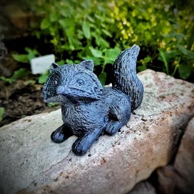 Cáo vườn đã quét và điêu khắc nhẹ nhàng