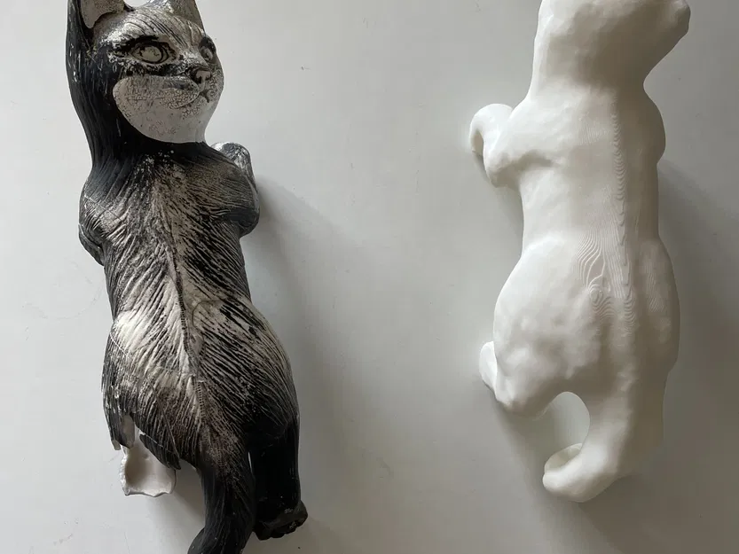 Mèo treo trên ban công sau khi bị gãy chân - Image 1