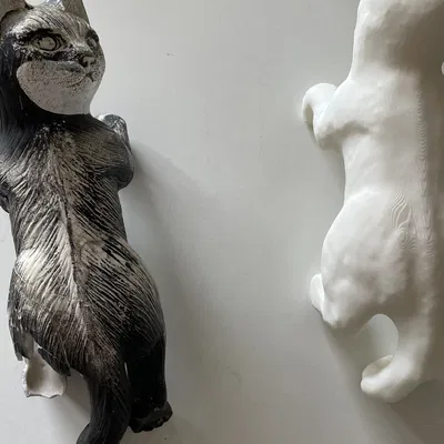 Mèo treo trên ban công sau khi bị gãy chân