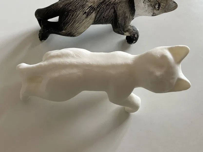 Mèo treo trên ban công sau khi bị gãy chân - Image 2