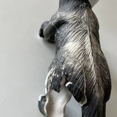 Mèo treo trên ban công sau khi bị gãy chân