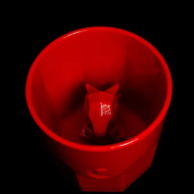 Cyndaquil ẩn mình trong cốc Octaglass