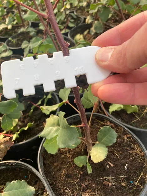 Thước đo chiều cao cây trồng và các vật thể tương tự - Image 1