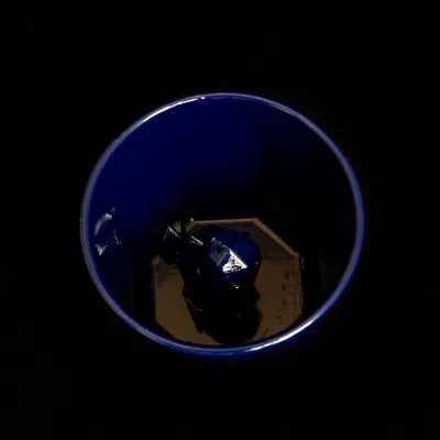 Squirtle ẩn nấp trong cốc Octaglass