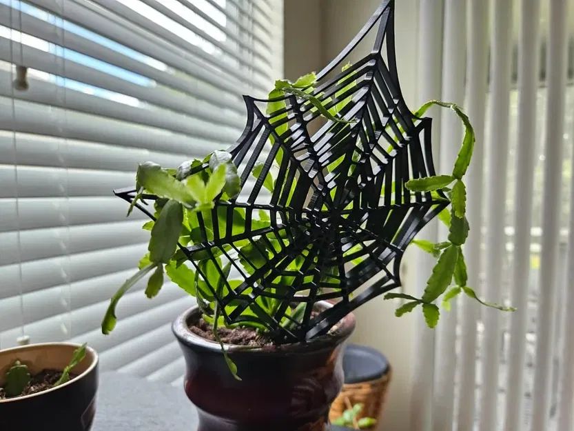 Giá đỡ cây xương rồng Giáng sinh/Halloween đơn giản - Image 1