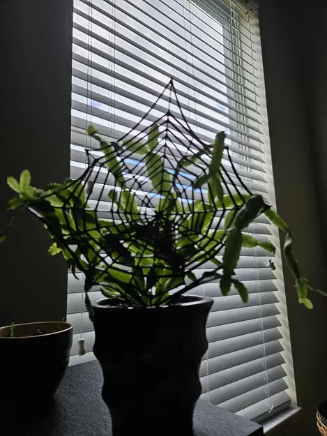 Giá đỡ cây xương rồng Giáng sinh/Halloween đơn giản - Image 3