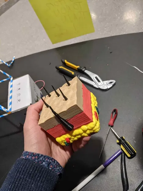 Mô hình lớp da người với cấu trúc ba lớp - Image 9