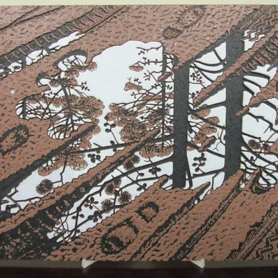 Tranh vũng nước của M.C. Escher với chi tiết tinh xảo