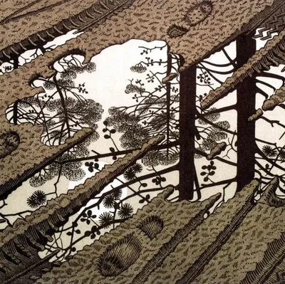 Tranh vũng nước của M.C. Escher với chi tiết tinh xảo