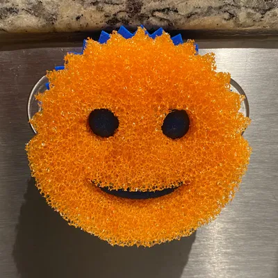 Giá đỡ Scrub Daddy cho bồn rửa 3D