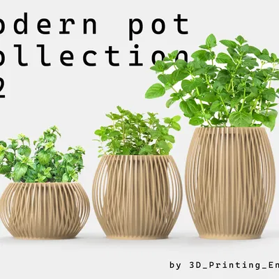 Bộ sưu tập chậu hiện đại phiên bản thứ hai