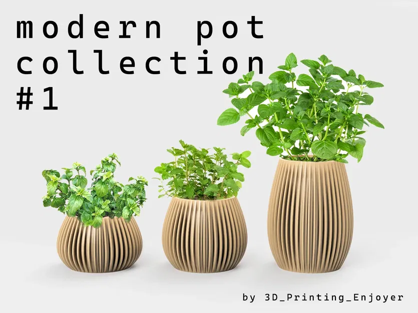 Bộ sưu tập chậu cây hiện đại ba kích thước - Image 1