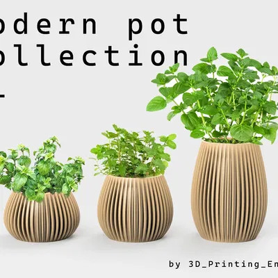 Bộ sưu tập chậu cây hiện đại ba kích thước