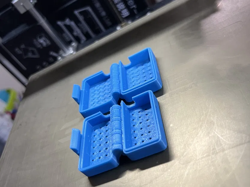 Hộp đựng bàn chải đánh răng du lịch - In ngay tại chỗ - Image 1