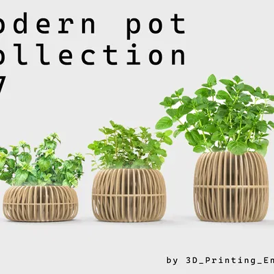 Bộ sưu tập chậu hiện đại số 7