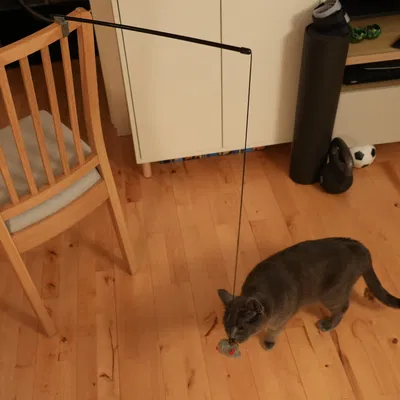 Giá đỡ cho đồ chơi mèo gắn trên ghế