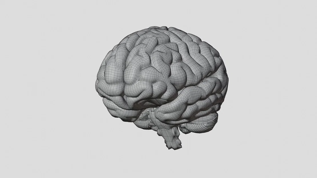 Não người mô phỏng chân thực với chi tiết tinh xảo - Image 1