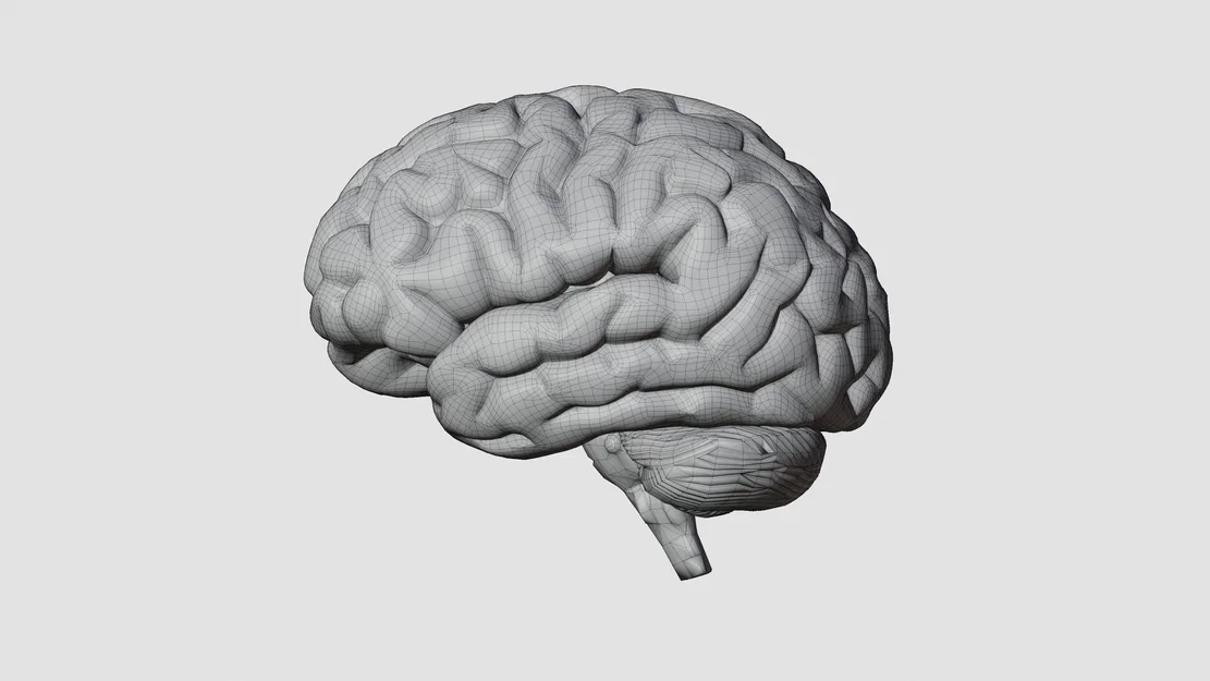 Não người mô phỏng chân thực với chi tiết tinh xảo - Image 2
