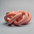 Nút torus in 3D không cần hỗ trợ - Thumbnail 2