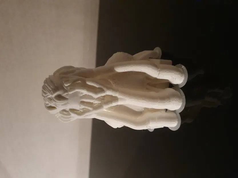 Tượng bán thân Marie Curie chi tiết - Image 4