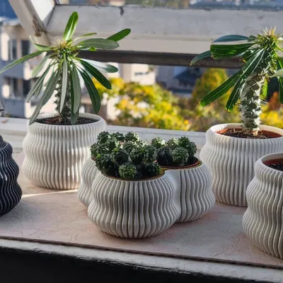 Bình hoa finvase có thể mở rộng với triplevase bên trong