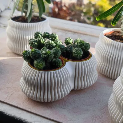 Bình hoa finvase có thể mở rộng với triplevase bên trong