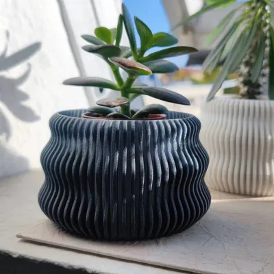 Bình hoa finvase có thể mở rộng với triplevase bên trong