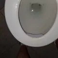 Mở rộng ghế toilet cho người cao tuổi 85 tuổi - Thumbnail 2