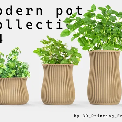 Bộ sưu tập chậu hiện đại số 4