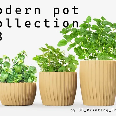 Bộ sưu tập chậu hiện đại số 3