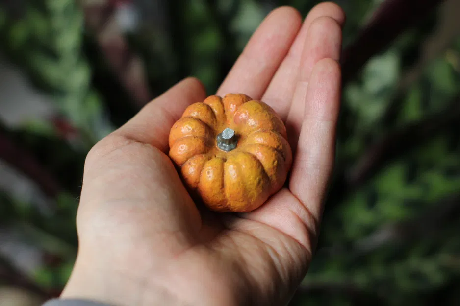 Quả bí ngô thực tế được quét 3D - Image 1