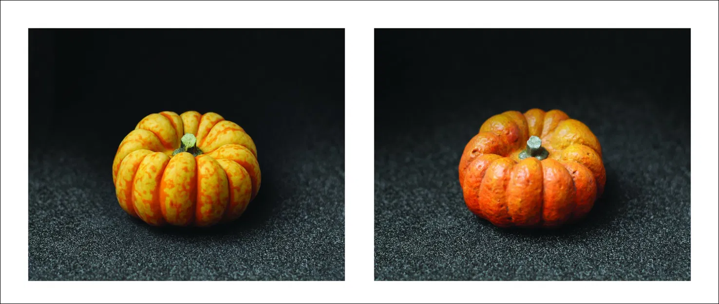 Quả bí ngô thực tế được quét 3D - Image 5