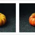 Quả bí ngô thực tế được quét 3D - Thumbnail 5